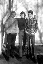Der harte Kern: Arni,Johnny,Rudi 1974